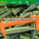 hot sale iqf okra frozen okra whole