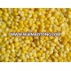 Frozen baby corn cobs whole kernel sweet corn